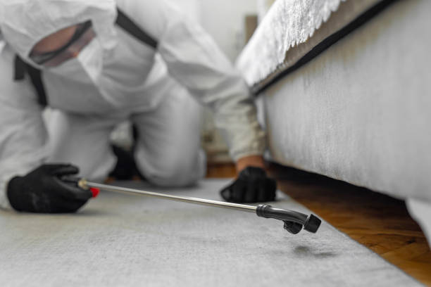 Professional Cockroach Control technician working in Beale AFB, CA