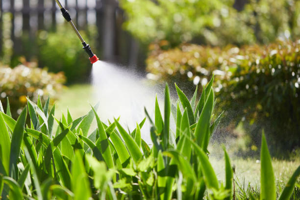 24/7 Emergency Cockroach Control experts in Beale AFB, CA